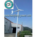 viento pequeño turbina mini aerogenerador casero utilizar techo marine 12v 24v 48v 300w600w800w1000w1500w1600w2000w3000w aerogenerador